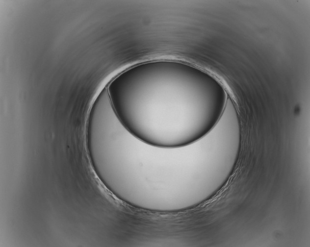 X0000091471148200708161123