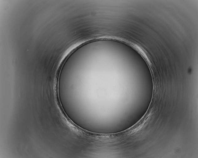 X0000091471149200708161123