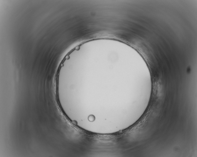 X0000091471150200708161123
