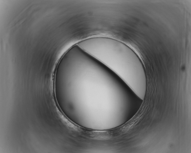 X0000091471151200708161123