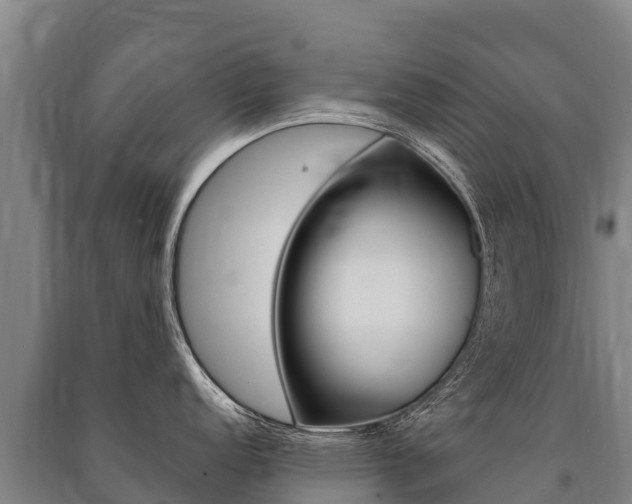 X0000091471152200708161123