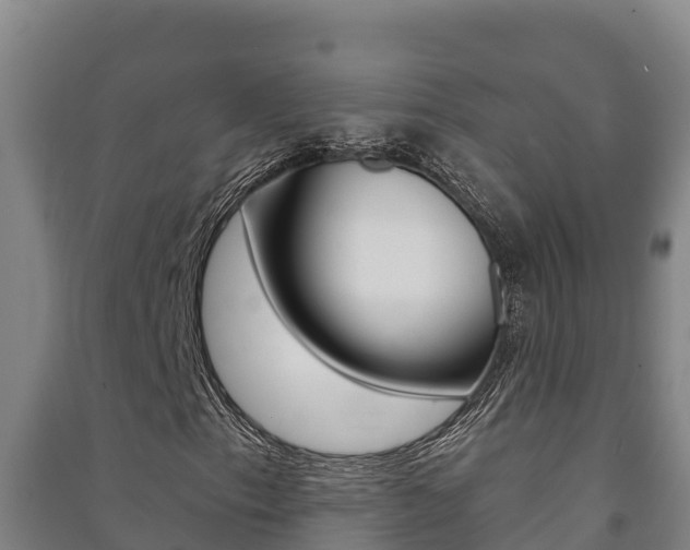 X0000091471153200708161122