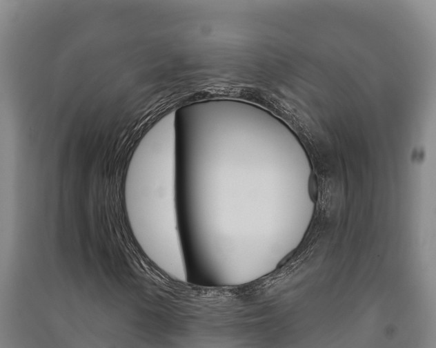 X0000091471154200708161122