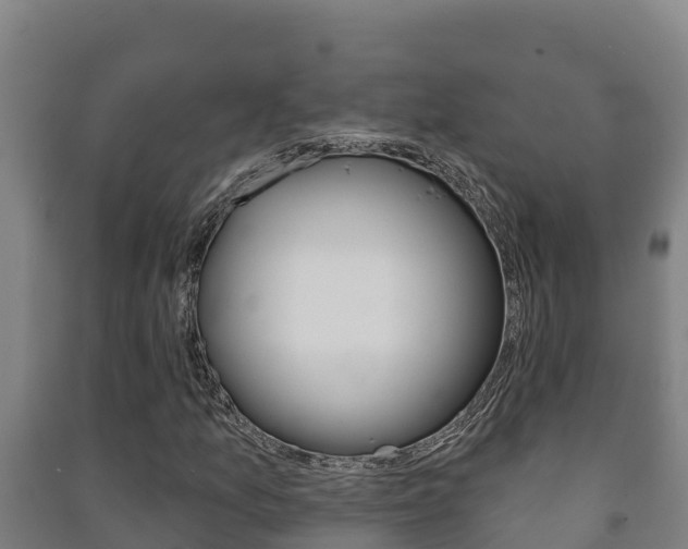 X0000091471157200708161122