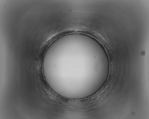 X0000091471158200708161122
