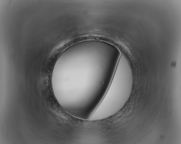 X0000091471159200708161122