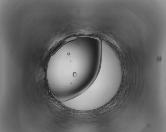 X0000091471160200708161122