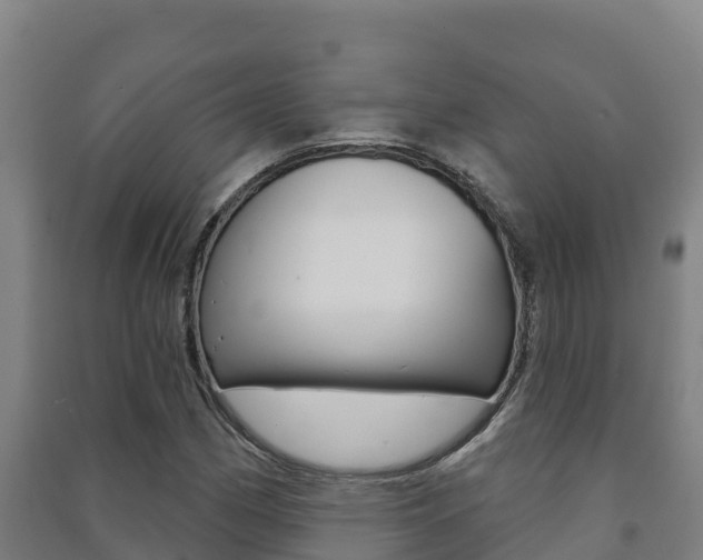 X0000091471162200708161122