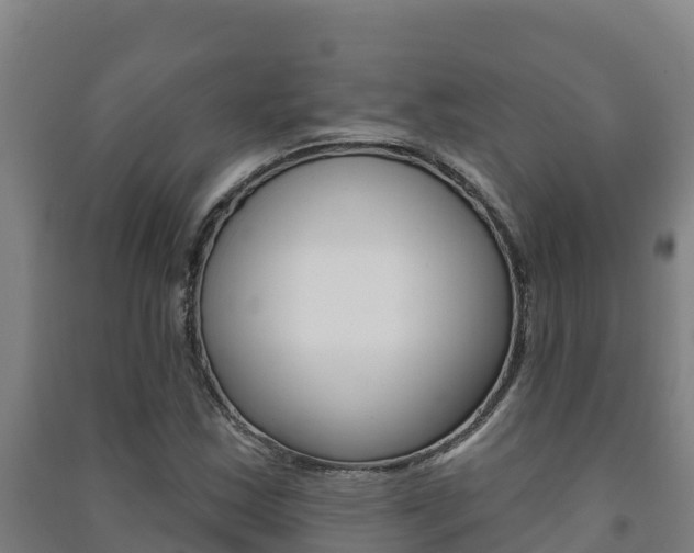 X0000091471163200708161122
