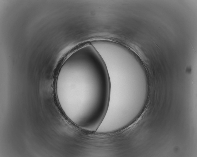 X0000091471164200708161122