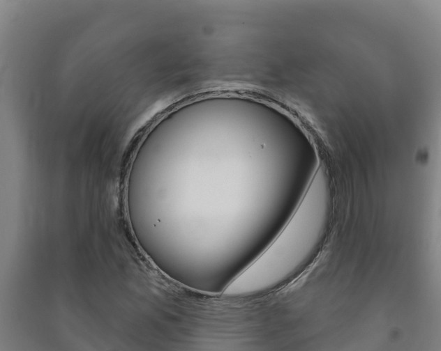 X0000091471165200708161122