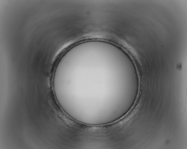 X0000091471166200708161122