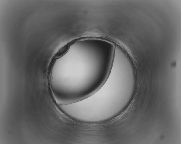X0000091471168200708161122