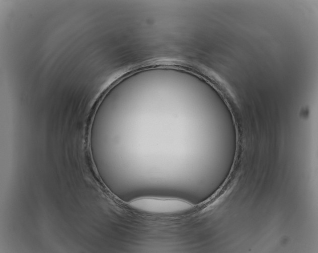 X0000091471170200708161122