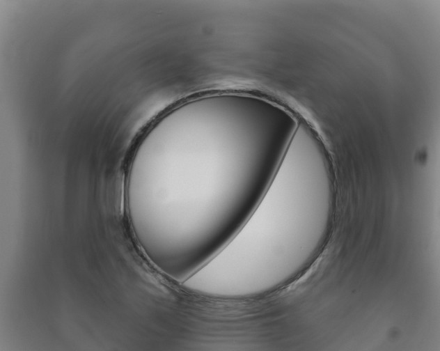 X0000091471171200708161122