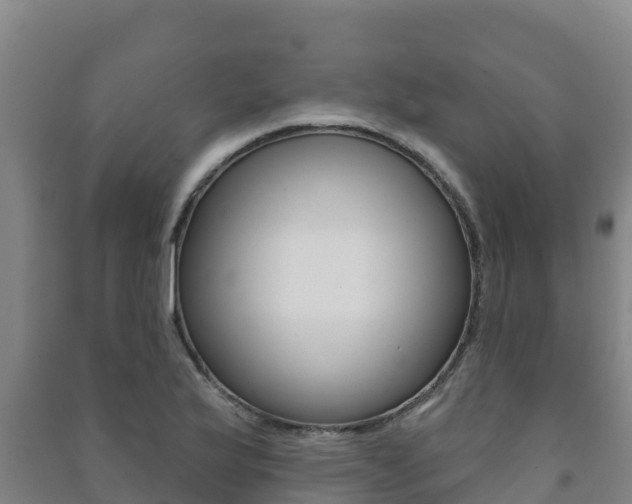 X0000091471175200708161122