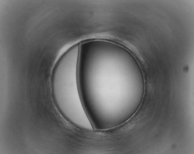 X0000091471176200708161122
