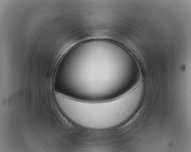 X0000091471177200708161122
