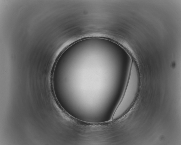 X0000091471181200708161121