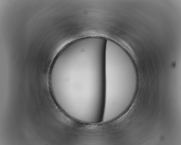 X0000091471182200708161121