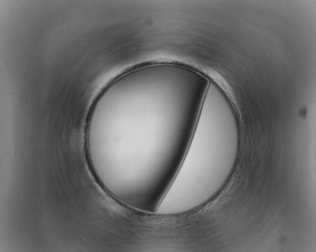 X0000091471183200708161121