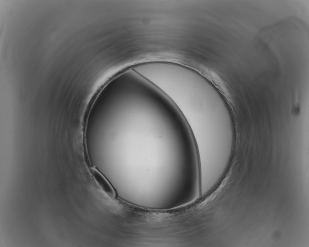 X0000091471184200708161121
