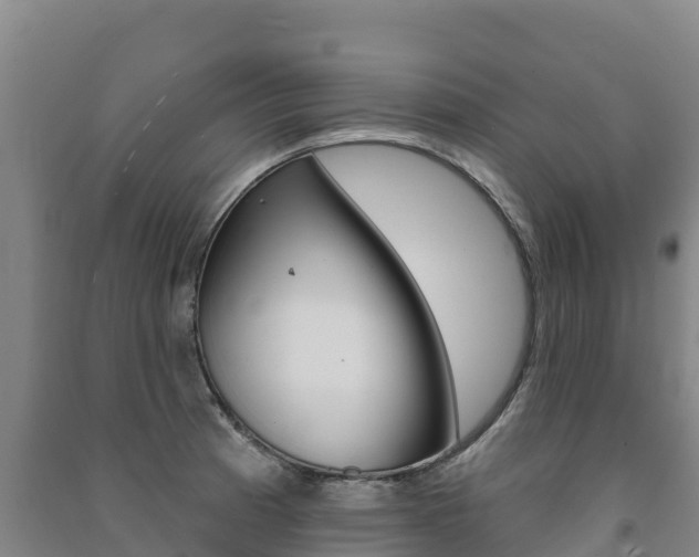 X0000091471185200708161121
