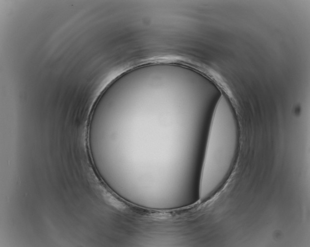 X0000091471186200708161121