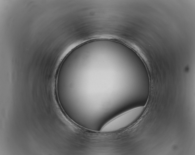 X0000091471187200708161121
