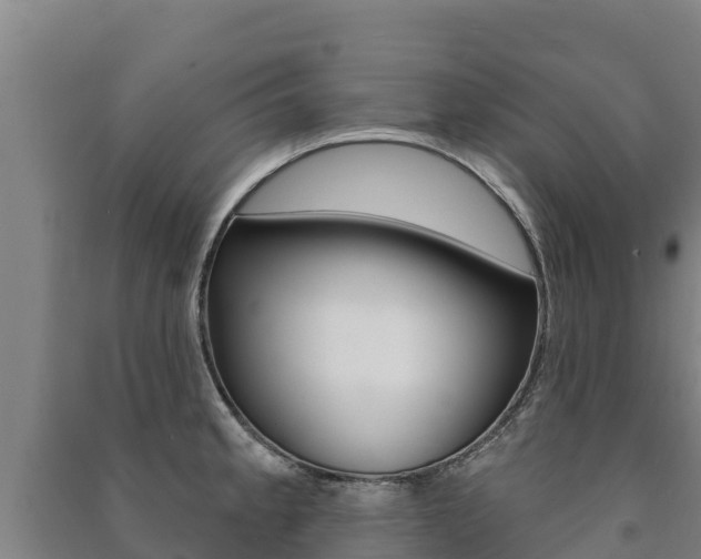 X0000091471189200708161121