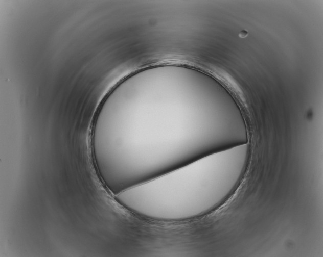 X0000091471190200708161121