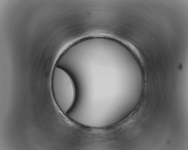 X0000091471191200708161121