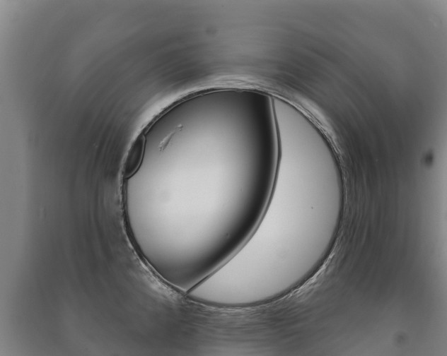 X0000091471192200708161121