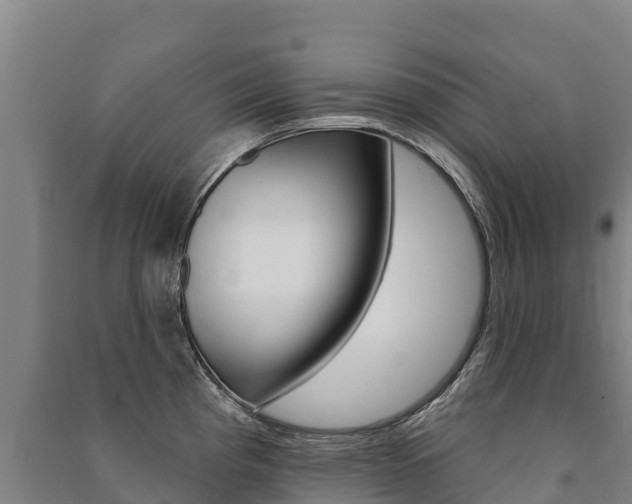 X0000091471193200708161121