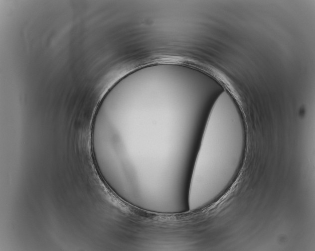 X0000091471194200708161121