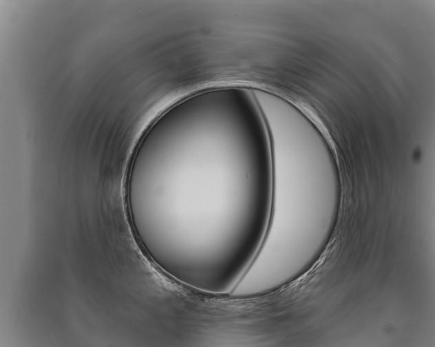 X0000091471197200708161121