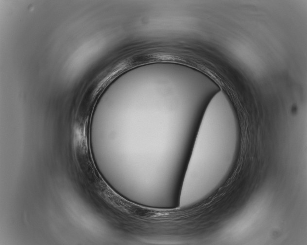 X0000091471198200708161121