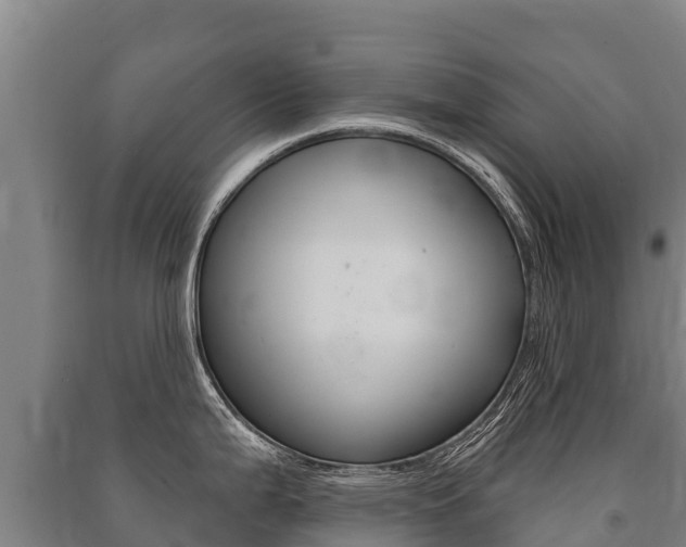 X0000091471199200708161121