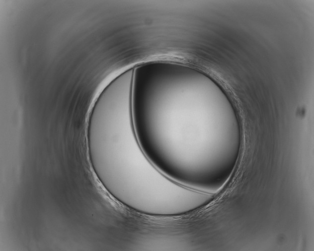 X0000091471200200708161121