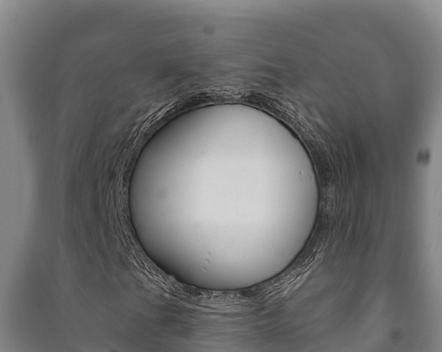 X0000091471201200708161121
