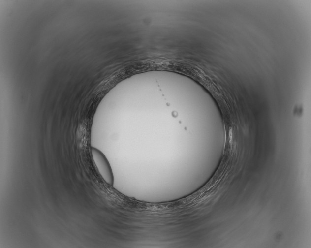 X0000091471203200708161121