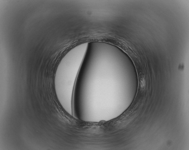 X0000091471204200708161121