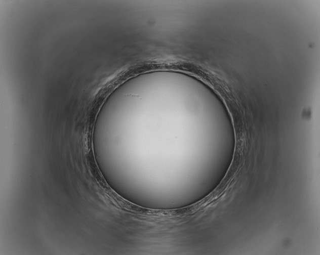 X0000091471205200708161121