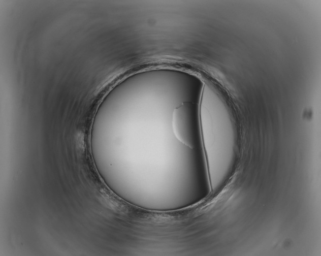 X0000091471209200708161121