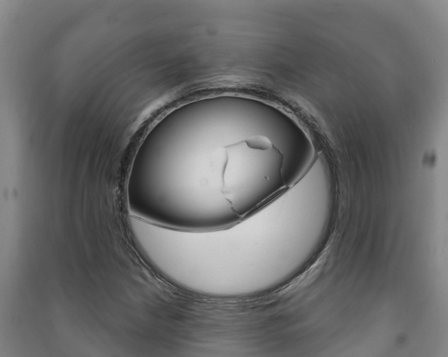 X0000091471210200708161121