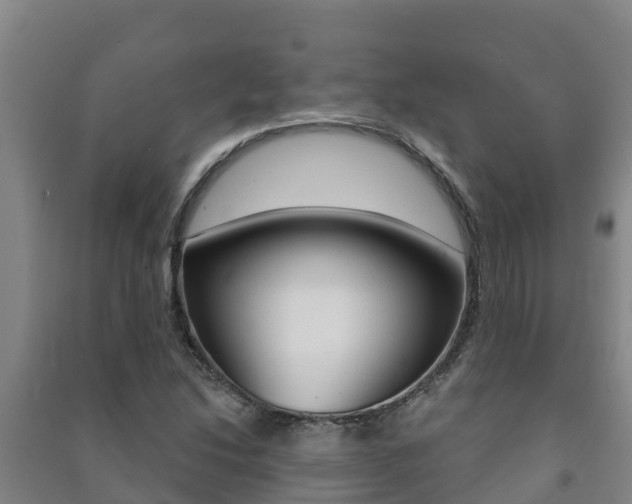 X0000091471214200708161121