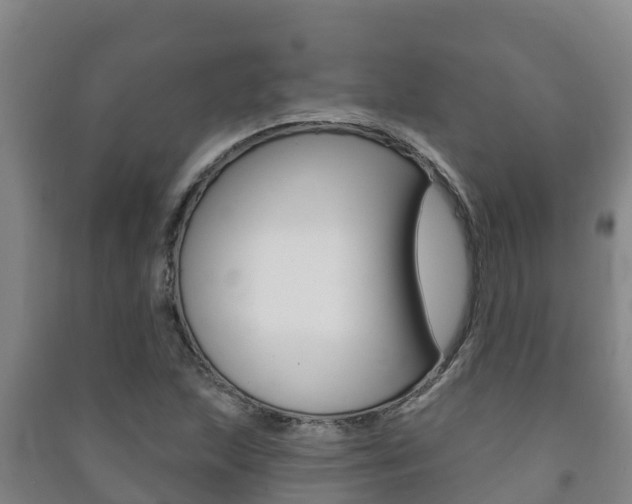 X0000091471215200708161121