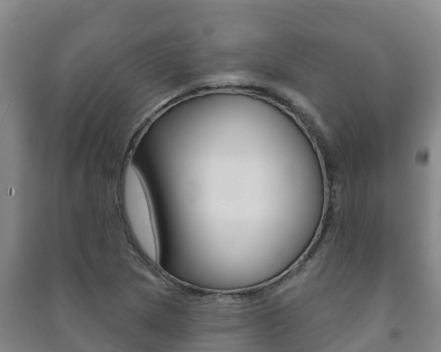 X0000091471217200708161121