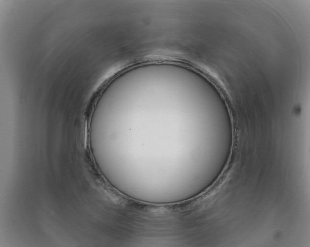 X0000091471219200708161121