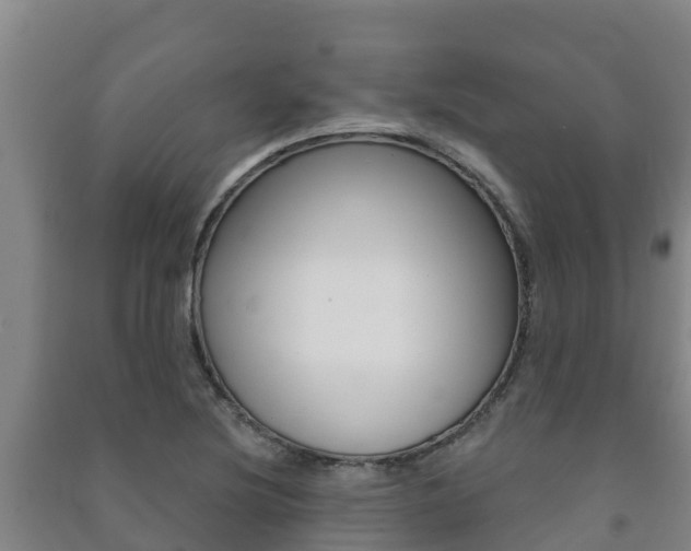 X0000091471220200708161121